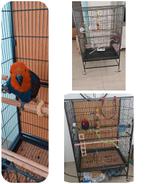 Cage perroquet, Enlèvement, Neuf, Cage à oiseaux