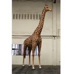 Girafe 18 pieds – Statue girafe Hauteur 515 cm, Collections, Enlèvement ou Envoi, Neuf