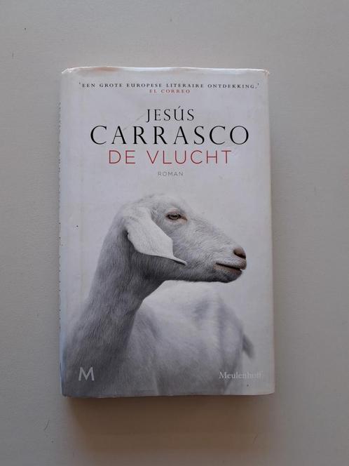 Jesús Carrasco - De vlucht, Boeken, Literatuur, Zo goed als nieuw, Ophalen of Verzenden