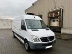 Mercedes - Benz Sprinter 313CDI MAXI CARRIER KOELWAGEN, Euro 5, Zwart, 4 cilinders, Wit