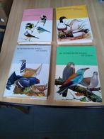 Nestbouwende vogels uit Europa - 4 delen, Artis historia, Prentenboek, Ophalen of Verzenden, Zo goed als nieuw