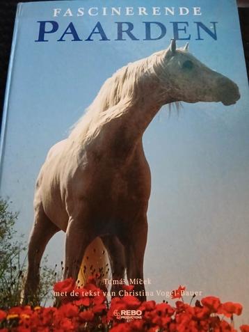 T. Micek - Fascinerende paarden beschikbaar voor biedingen