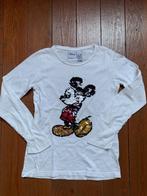longsleeve zara maat 140, Kinderen en Baby's, Kinderkleding | Maat 140, Ophalen of Verzenden, Zo goed als nieuw, Meisje, Shirt of Longsleeve