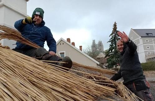 rietdekken, Doe-het-zelf en Bouw, Dakpannen en Dakbedekking, Nieuw, Overige typen, Overige materialen, Overige kleuren, 15 m² of meer