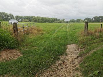 Terres agricoles, Pajottegem, Ventes sans courtier, 1500 m² ou plus