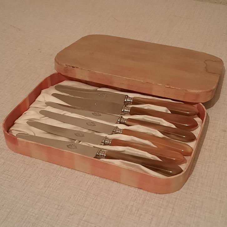 6 Couteaux à fruits 16.7cm inox corne de bœuf en Coffret, Antiquités & Art, Antiquités | Couverts, Enlèvement