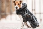 Kentucky dogwear fake fur hondenjas maat SM, Dieren en Toebehoren, Hondenkleding, Ophalen, Nieuw, Hondenjas