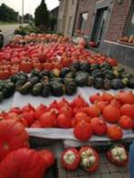 Pompoenen te koop, Ophalen