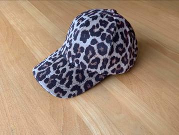 Base pet Leopard beschikbaar voor biedingen