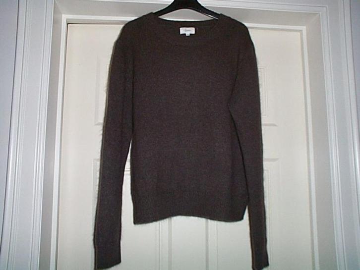 Prachtige Pull AXIOME Trui S Np € 89,95, Kleding | Dames, Truien en Vesten, Nieuw, Maat 36 (S), Bruin, Ophalen of Verzenden