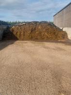 Snijrogge, Dieren en Toebehoren, Ophalen, Vee