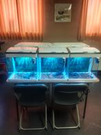 Aquariums van super fisch 70 en 50 liter compleet, Dieren en Toebehoren, Vissen | Aquaria en Toebehoren, Ophalen