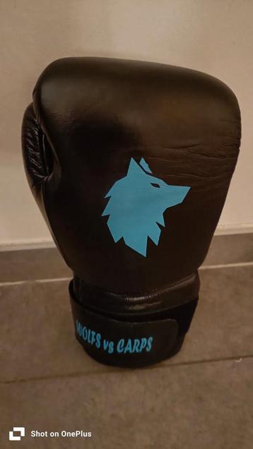 gants de boxe et protège-tibias disponible aux enchères