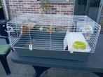 Cage pour lapin et cochon d'Inde, Ophalen, Zo goed als nieuw, Kooi