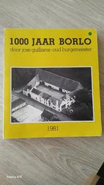 1000 jaar BORLO, Boeken, Geschiedenis | Stad en Regio, Ophalen of Verzenden, Zo goed als nieuw