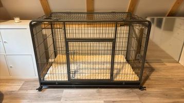 XL heavy duty bench (als nieuw) beschikbaar voor biedingen