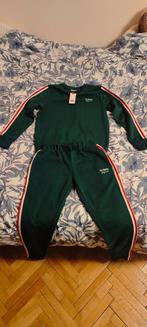 Trening Lee Cooper Nieuw, Kleding | Dames, Sportkleding, Ophalen of Verzenden, Nieuw, Groen