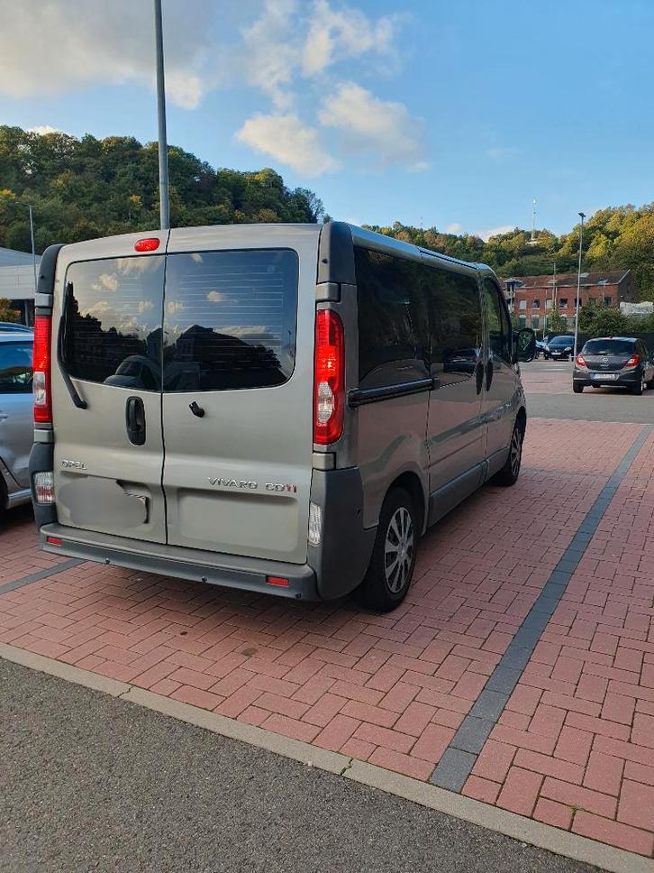 OPEL VIVARO, Autos, Opel, Particulier, Vivaro, Diesel, Euro 4, 5 portes, Boîte manuelle, Argent ou Gris, Gris, Tissu, Enlèvement