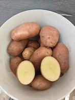 Verse Desirée-aardappelen, Diversen, Ophalen