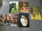 Lotje oude postkaarten van dieren, Verzamelen, Postkaarten | Dieren, Ophalen of Verzenden, 1980 tot heden, Gelopen, Overige soorten
