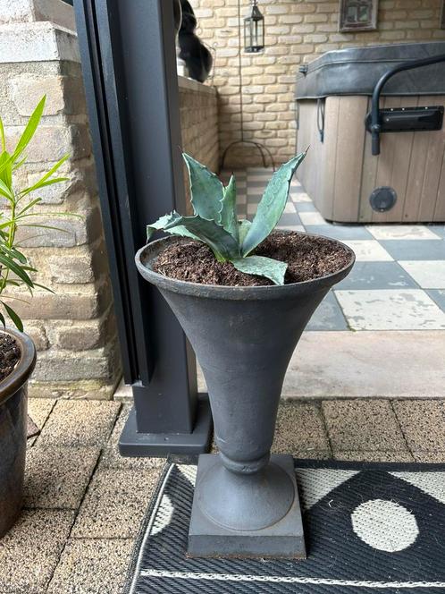 Gietijzeren tuinvaas trompetvaas 3 stuks met gratis agave, Tuin en Terras, Tuinvazen, Ophalen