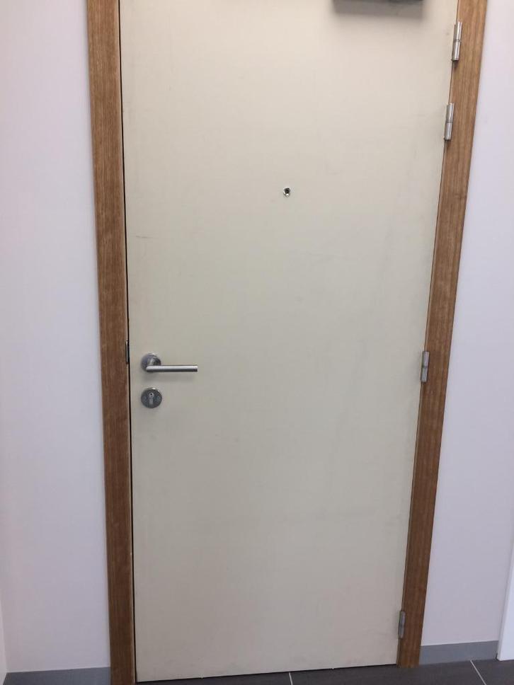 Brandwerende Inkomdeur, Doe-het-zelf en Bouw, Deuren en Vliegenramen, Zo goed als nieuw, Binnendeur, 200 tot 215 cm, 80 tot 100 cm