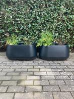 Elho bloembak bloempot container 3 stuks, Tuin en Terras, Bloempotten, Ophalen, Zo goed als nieuw