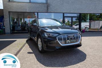 Audi e-tron 95 kWh 55 Quattro Business Plus LEDER/CAMERA/NA beschikbaar voor biedingen