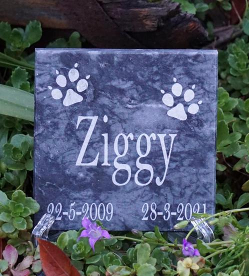 MARMEREN GEDENKSTEEN VOOR KAT OF HOND MET DIERENPOOTJES, Dieren en Toebehoren, Katten-accessoires, Nieuw, Ophalen of Verzenden