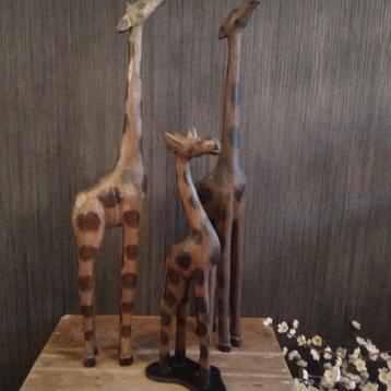 3 grote houten giraffen  beschikbaar voor biedingen