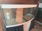Terrarium te koop, Dieren en Toebehoren, Ophalen, Zo goed als nieuw