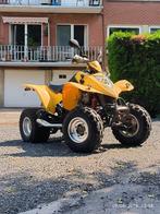 Quad 250 prêt a être immatriculé, Motoren