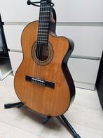 ibanez guitare elctro avoustique, corde nylon facile a jouer, Muziek en Instrumenten, Snaarinstrumenten | Gitaren | Akoestisch