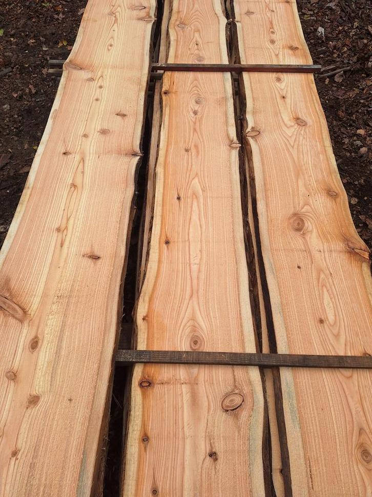 Lariks Schorsplanken – Duurzaam & Belgisch uit Eigen Zagerij, Doe-het-zelf en Bouw, Hout en Planken, Nieuw, Ophalen