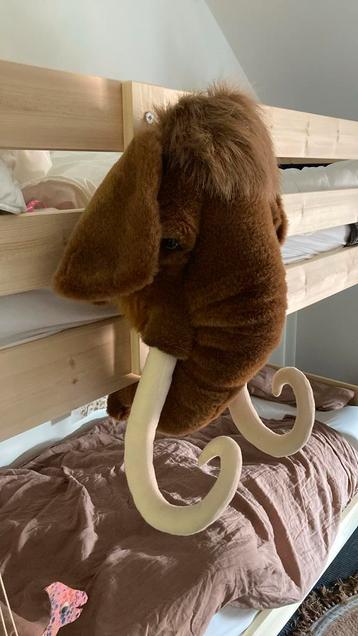 Wild and soft dierenkop - Mammoet beschikbaar voor biedingen