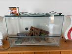 Terrarium, Dieren en Toebehoren, Ophalen, Gebruikt, Terrarium of Paludarium
