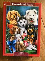 Castorland puzzel 1000 stukjes, Ophalen, Legpuzzel