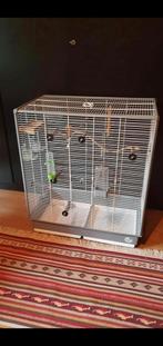 Vogelkooi, Ophalen, Zo goed als nieuw, Vogelkooi