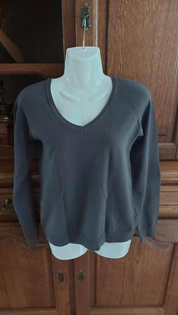 pull taille M
