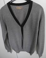 Grijs heren vest met knopen, Kleding | Heren, Ophalen, Gedragen, Maat 48/50 (M), Grijs