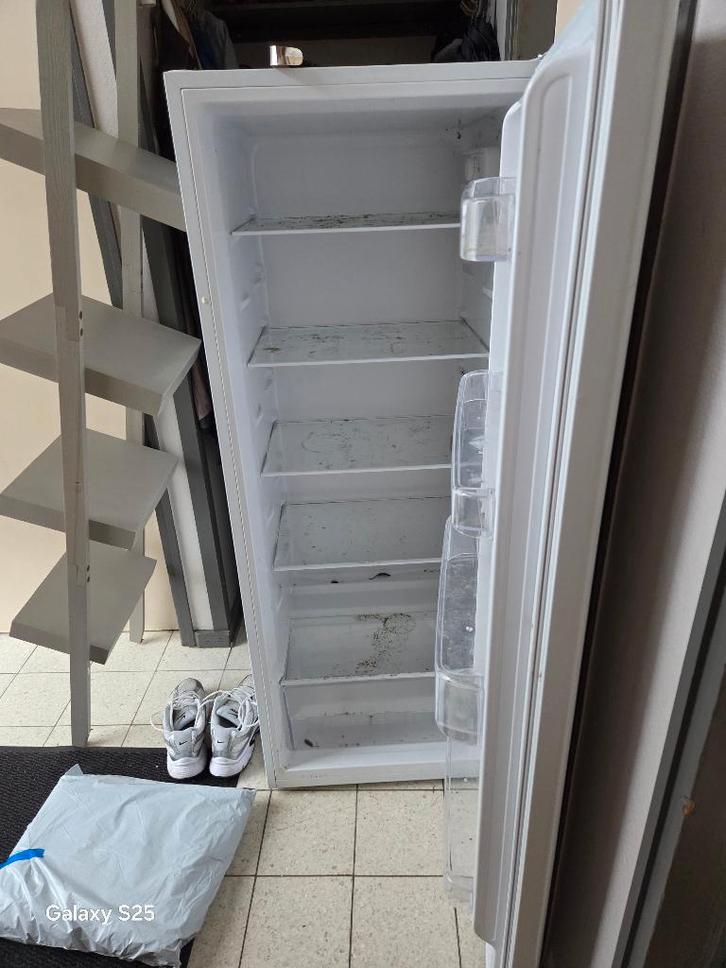 Frigo 1 an et demi, Electroménager, Réfrigérateurs & Frigos, Comme neuf, Sans bac à congélation, 140 à 160 cm, 45 à 60 cm, Classe énergétique A ou plus économe