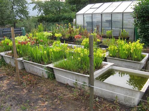 Vijver-moerasbakken polyester, Tuin en Terras, Waterpartijen en Fonteinen, Ophalen