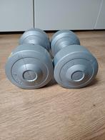 Dumbbells gewichten 2 x 6 kg, Ophalen of Verzenden, Zo goed als nieuw, Benen, Dumbbell