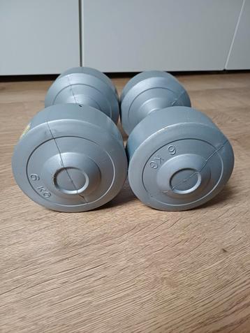 Dumbbells gewichten 2 x 6 kg beschikbaar voor biedingen