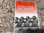 In een stad van stenen. Gery Florizoone, Boeken, Esoterie en Spiritualiteit, Ophalen of Verzenden, Zo goed als nieuw, Overige typen