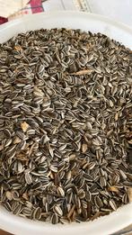 Heb nog overschot van vogelvoer 4,475 kilo gestreepte zonnep, Dieren en Toebehoren, Ophalen, Vogel