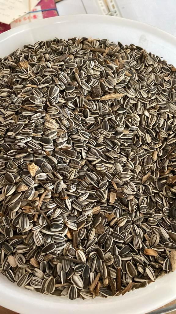 Heb nog overschot van vogelvoer 4,475 kilo gestreepte zonnep, Dieren en Toebehoren, Dierenvoeding, Vogel, Ophalen