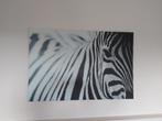 canvas zebra, Huis en Inrichting, Woonaccessoires | Wanddecoraties, Ophalen