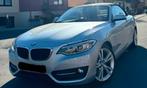 PRACHTIGE BMW 220I Sport line fulll opties, Auto's, Automaat, Leder, Overige kleuren, Particulier