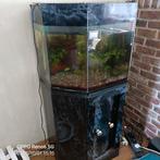Aquarium met filter led verlichting nog...., Dieren en Toebehoren, Ophalen of Verzenden, Zo goed als nieuw
